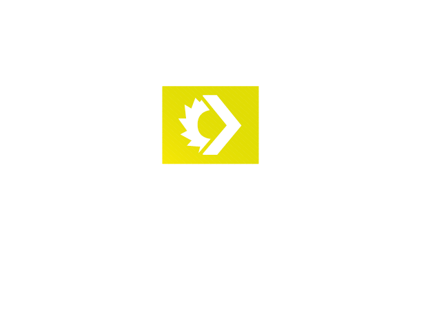 Motorsägenkurse – DANIEL STARK